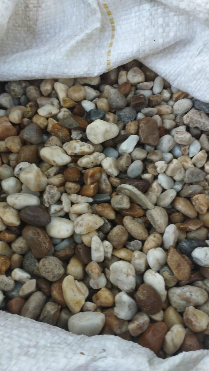 Gravilla #3 Combinada